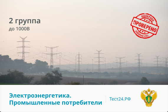НПА 2 группа до 1000В общие вопросы по электробезопасности  с 05.05.2023 г. Промышленные потребители